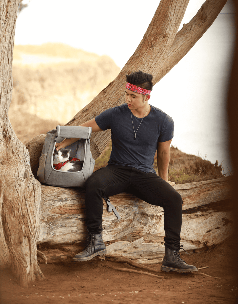 The Navigator Convertible Cat & Small Dog Backpack Carry YOUR CAT BACKPACK   