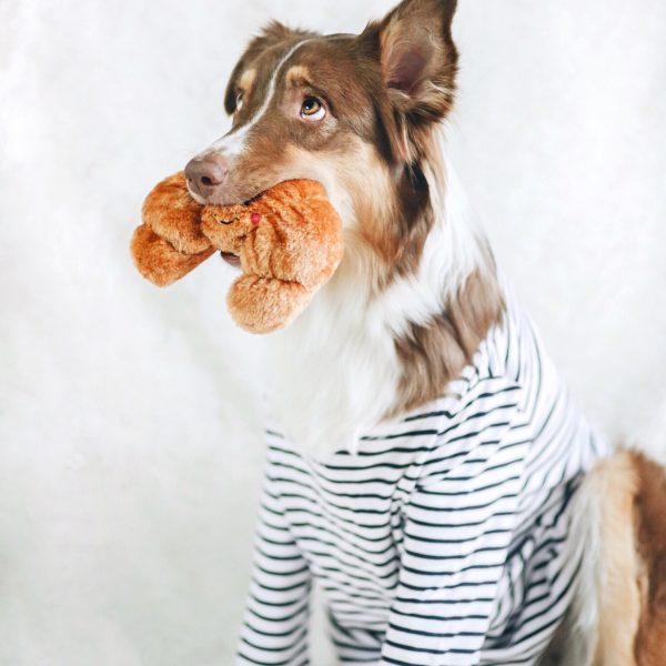ZIPPY PAWS | Croissant Plush Toy Toys ZIPPY PAWS   