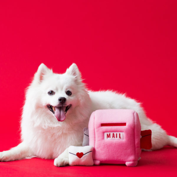 ZIPPY PAWS | Love Letter Interactive Plush Toy Toys ZIPPY PAWS   