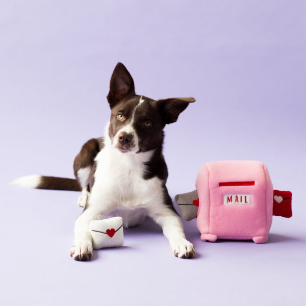 ZIPPY PAWS | Love Letter Interactive Plush Toy Toys ZIPPY PAWS   