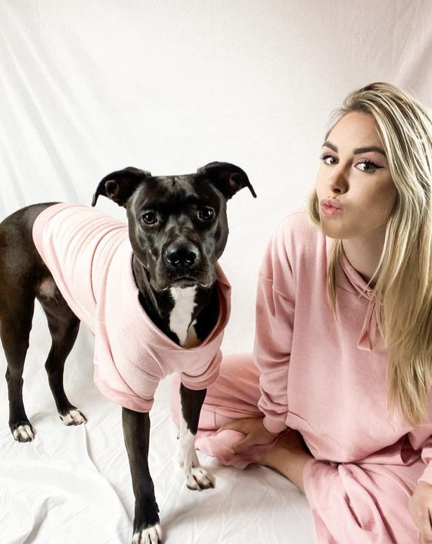 The Basics Dog Hoodie in Copper Terra << CLEARANCE >> Wear MIA & CO.   