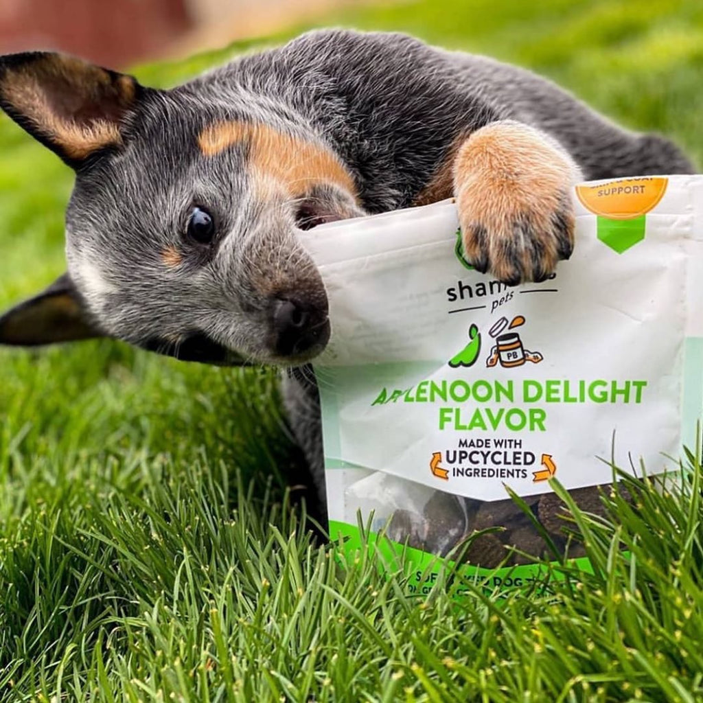 Applenoon Delight Soft Baked Upcycled Dog Treats Eat SHAMELESS PETS   