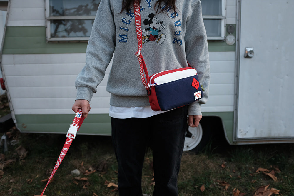 Trip Pack Dog Walking Bag Human CHARLIE'S BACKYARD   