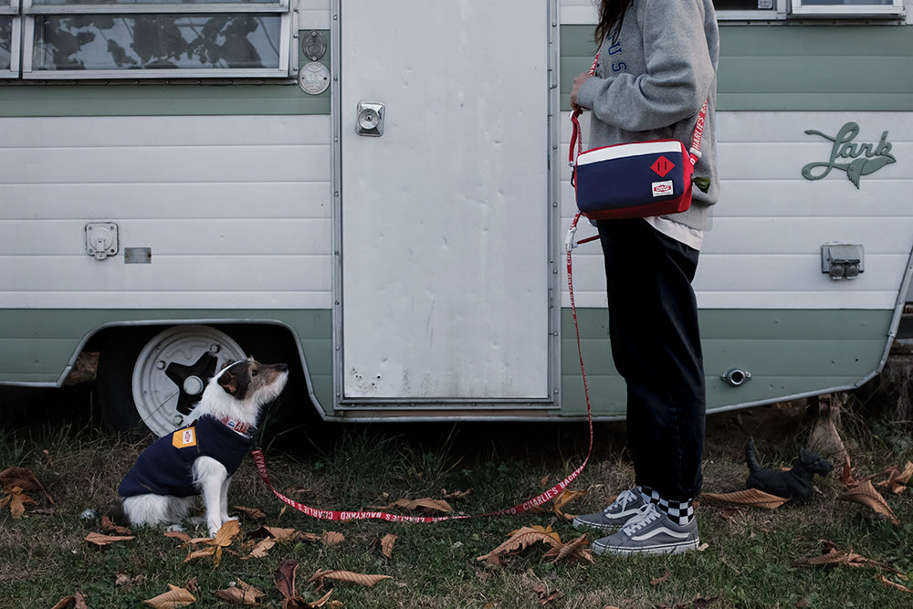 Trip Pack Dog Walking Bag Human CHARLIE'S BACKYARD   