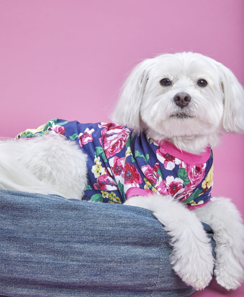 BEDHEAD | Lounge Dog T in Bella Rose Apparel BEDHEAD   