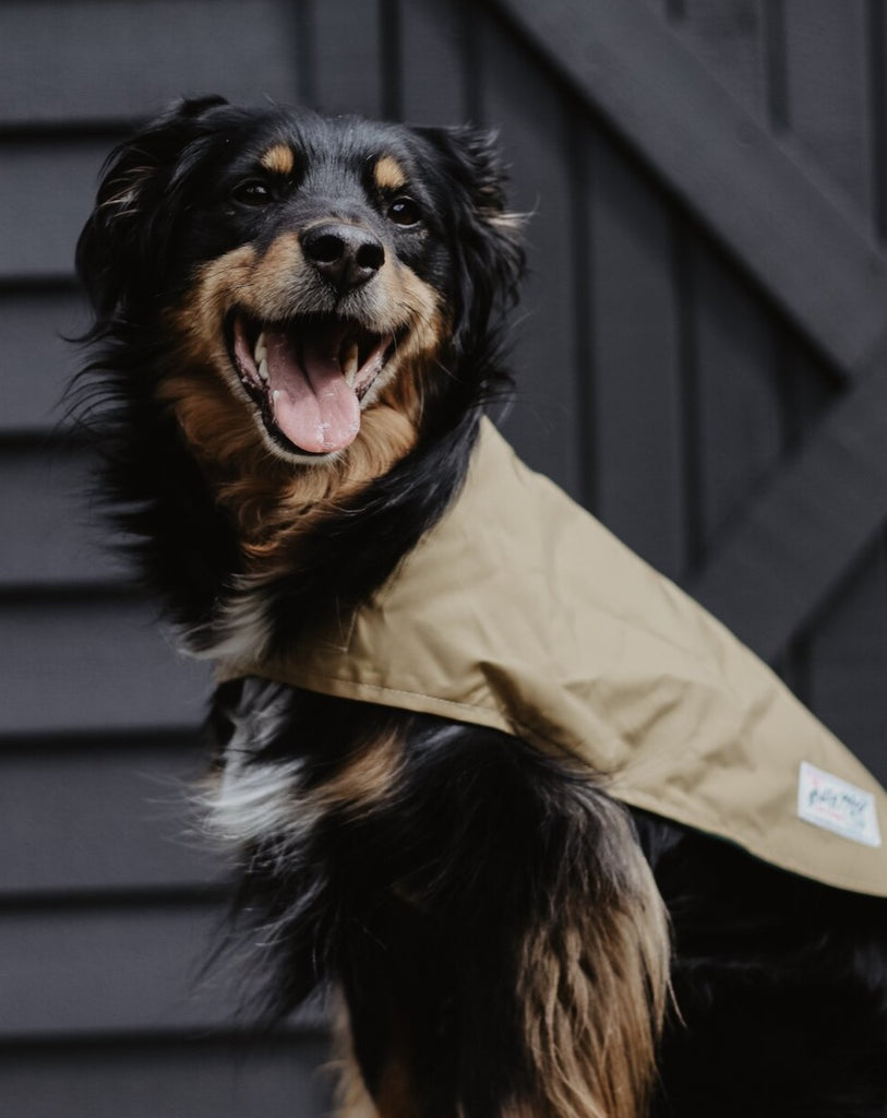 Carson Reversible Dog Raincoat in Green & Tan (Made in the USA) << FINAL SALE >> Wear BILLY WOLF   