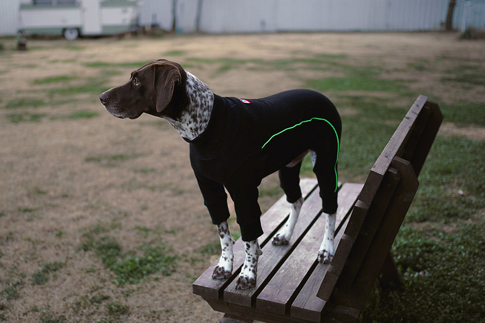 Bruce Warmer Dog Onesie in Black << CLEARANCE >> Wear CHARLIE'S BACKYARD   