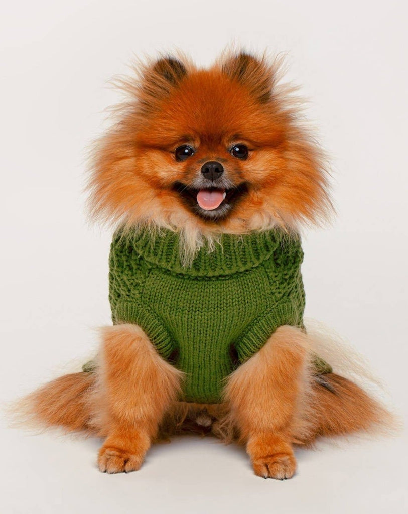 Super Chunky Dog Sweater in Olive (FINAL SALE) Wear FAB DOG   