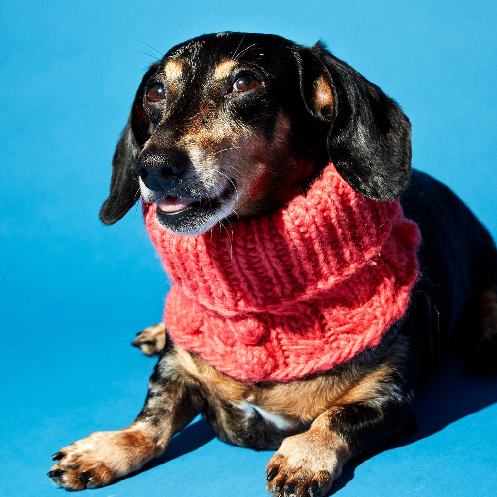 WARE of the DOG | Bobble Turtleneck Scarf in Pink Accessories WARE OF THE DOG   