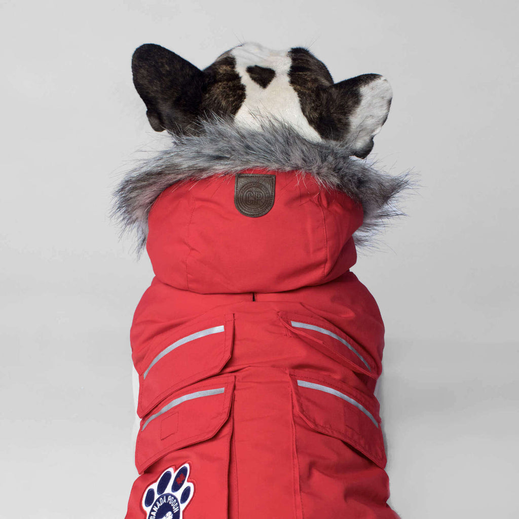 CANADA POOCH | Everest Explorer Vest in Red (BIG DOG SALE) Coats & Jackets CANADA POOCH   