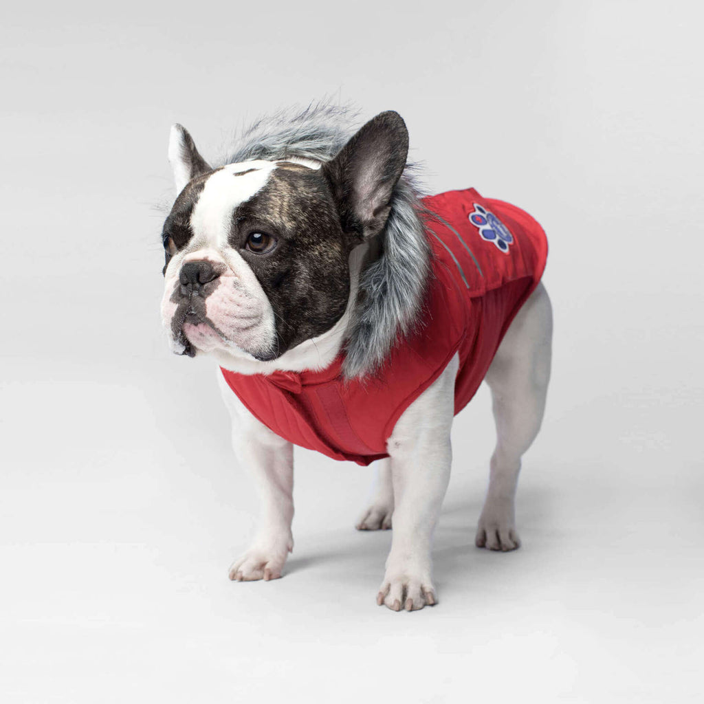 CANADA POOCH | Everest Explorer Vest in Red (BIG DOG SALE) Coats & Jackets CANADA POOCH   