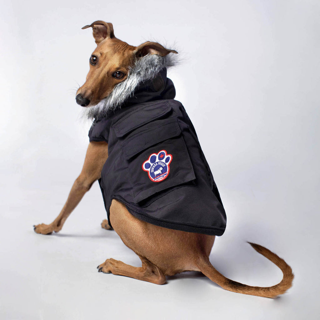 CANADA POOCH | Everest Explorer Vest in Black Coats & Jackets CANADA POOCH   