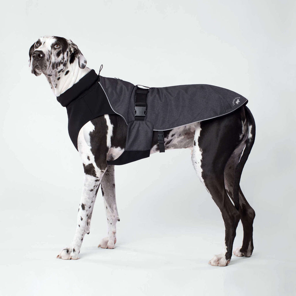 CANADA POOCH | The Expedition Coat in Charcoal (BIG DOG SALE) Coats & Jackets CANADA POOCH   