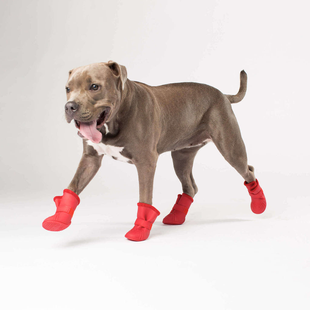 CANADA POOCH | Fleeced Lined Wellies Boot in Red (BIG DOG SALE) Boots CANADA POOCH   