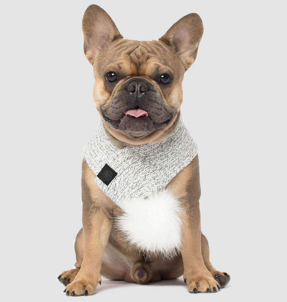 CANADA POOCH | Pom Pom Scarf in Snow Fox Accessories CANADA POOCH   