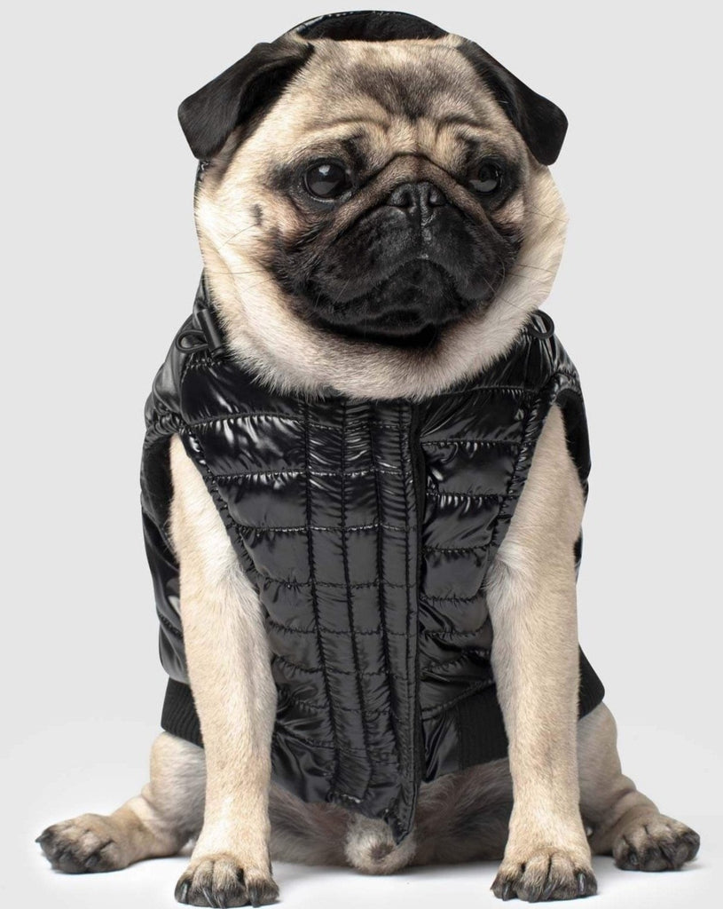 Shiny Puffer Dog Coat in Black (FINAL SALE) Wear CANADA POOCH   