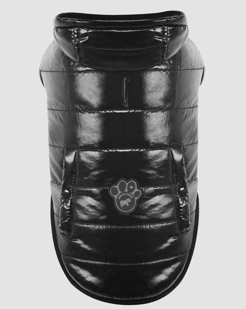 Shiny Puffer Dog Coat in Black Wear CANADA POOCH   