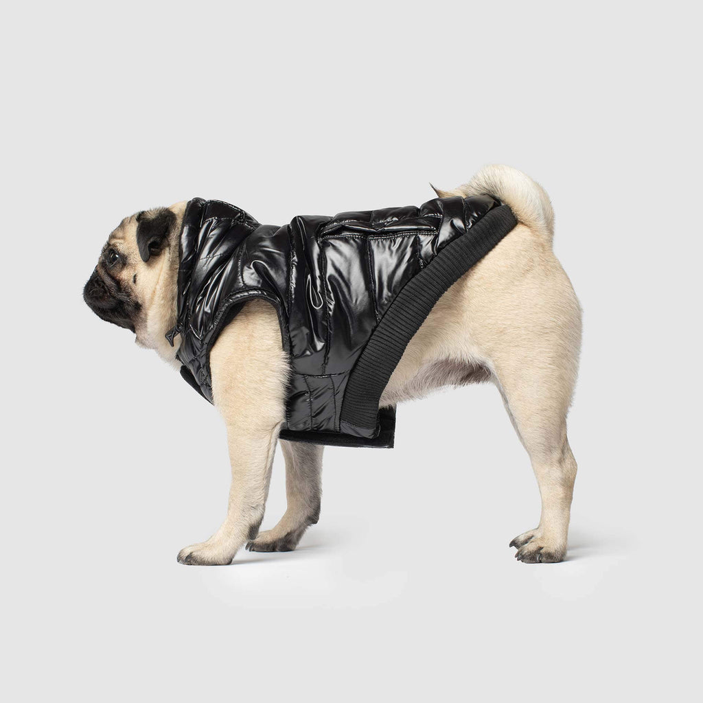 Shiny Puffer Dog Coat in Black Wear CANADA POOCH   