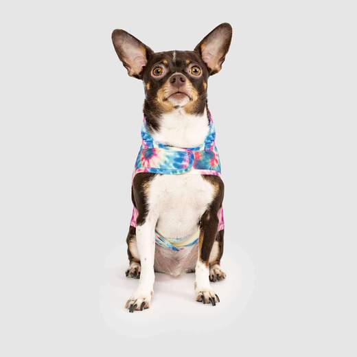 Pick Me Dog Poncho in Tie Dye (FINAL SALE) Wear CANADA POOCH   