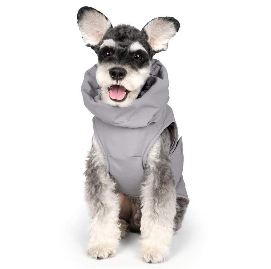 CHARLIE'S BACKYARD | Turtle Padding Jacket in Gray Coats & Jackets CHARLIE'S BACKYARD   