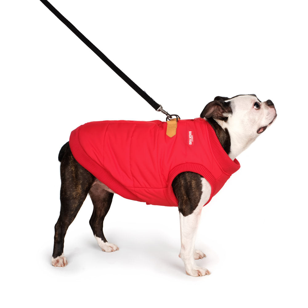 CHARLIE'S BACKYARD | Harness Jacket in Red Wear CHARLIE'S BACKYARD   