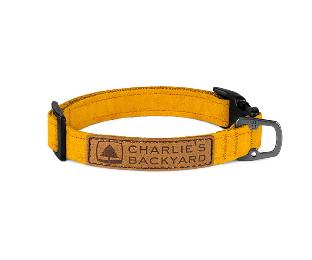 Easy Dog Collar in Yellow WALK CHARLIE'S BACKYARD   