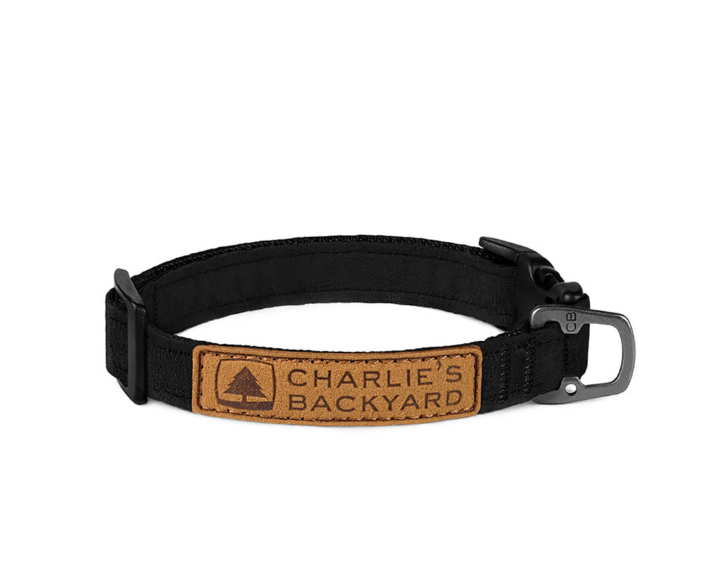 Easy Dog Collar in Black WALK CHARLIE'S BACKYARD   