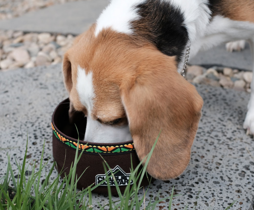 Portable Food & Water Bowl in Black Add-Ons CHARLIE'S BACKYARD   