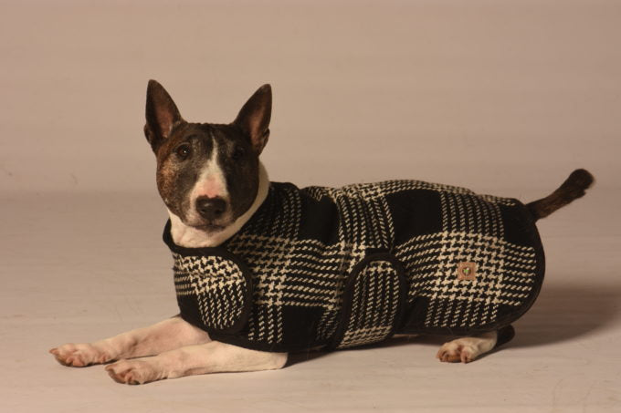 CHILLY DOG | Black & White Plaid Coat Coats & Jackets Chilly Dog   