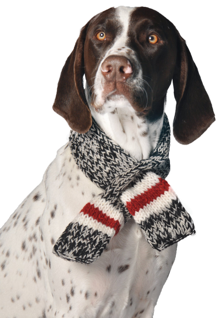CHILLY DOG | Boyfriend Scarf Accessories Chilly Dog   
