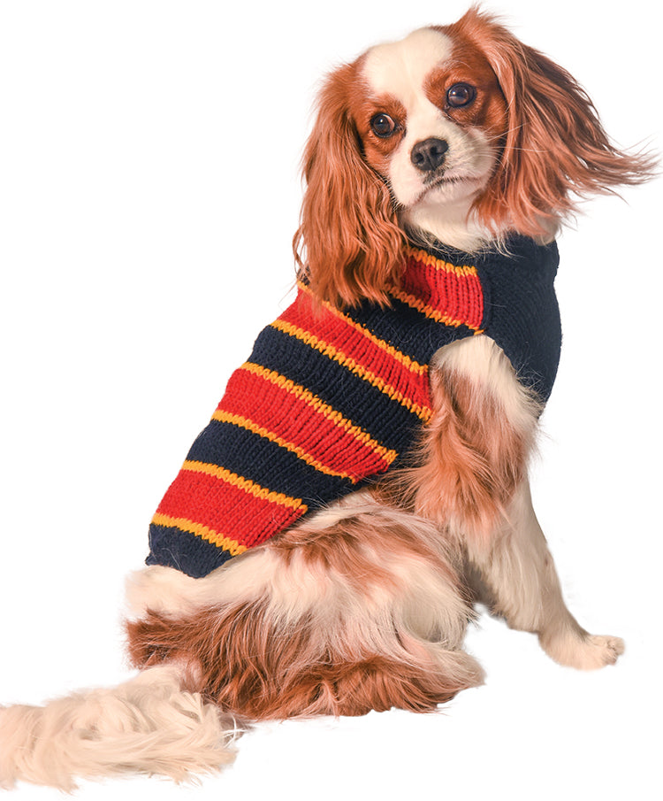 CHILLY DOG | Rugby Sweater Apparel Chilly Dog   