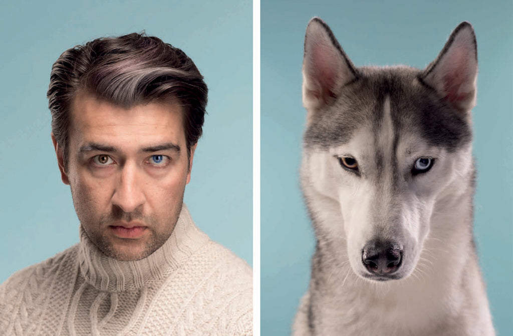 CHRONICLE BOOKS | Do You Look Like Your Dog? Memory Game Human Chronicle Books   