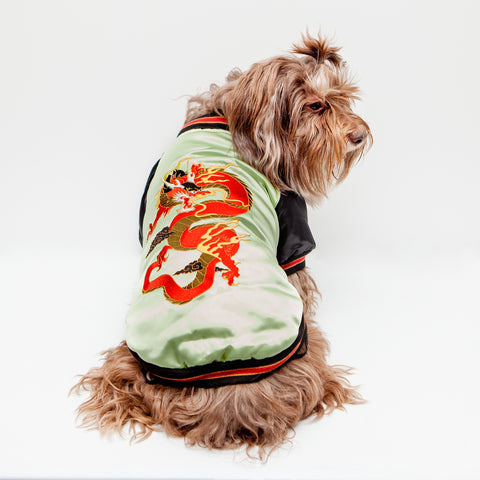 CROCI Street Dragon Padded Jacket DOG CO