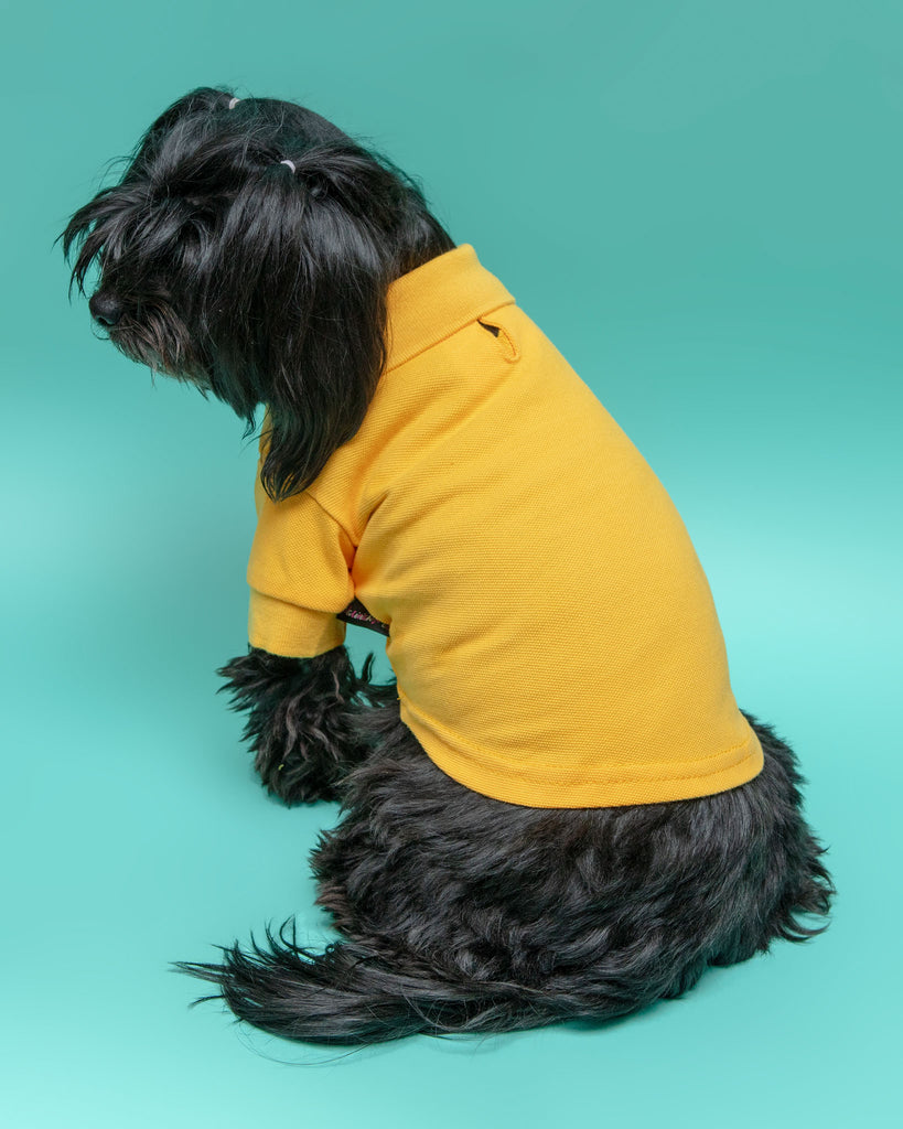 Ray of Sunshine Doggie Polo Shirt << FINAL SALE >> Wear PARISIAN PETS   