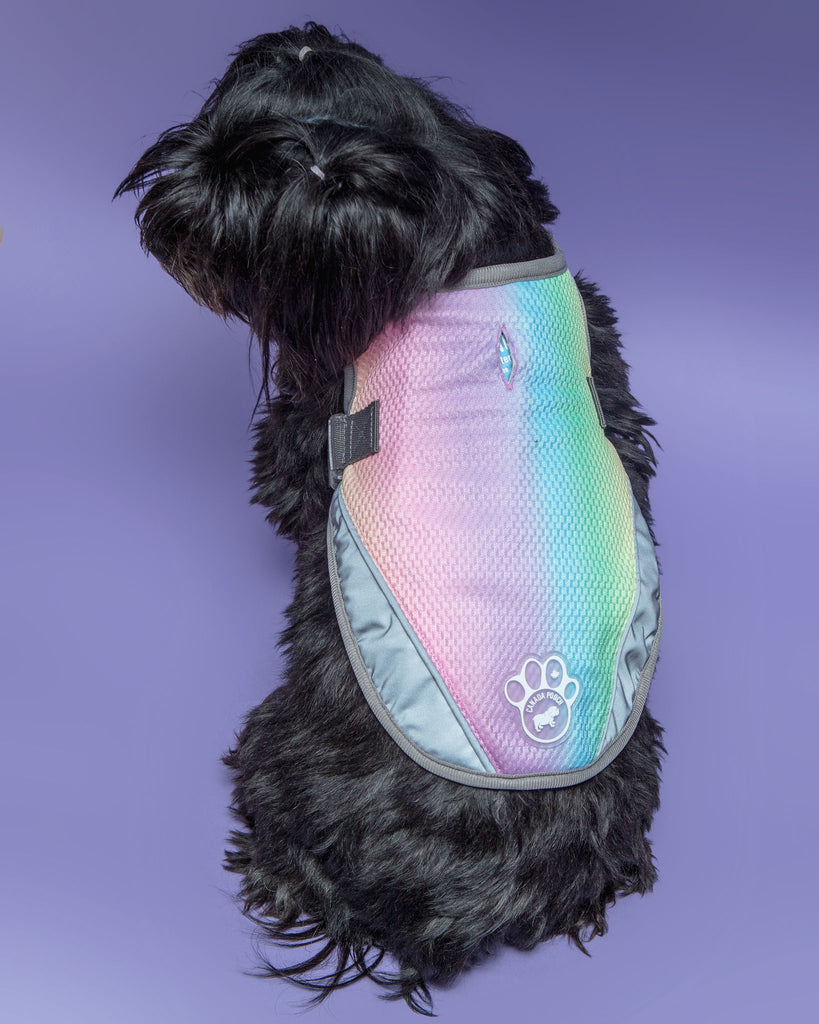 Chill Seeker Cooling Dog Vest in Rainbow << CLEARANCE >> Wear CANADA POOCH   