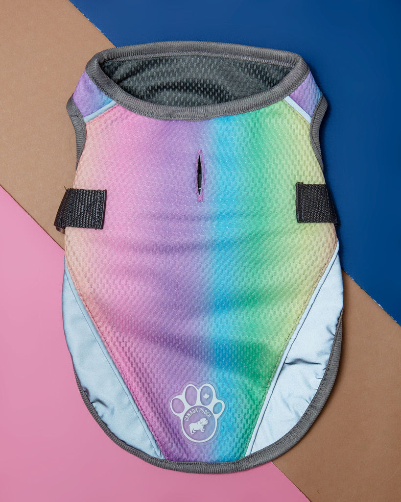 Chill Seeker Cooling Dog Vest in Rainbow << CLEARANCE >> Wear CANADA POOCH   