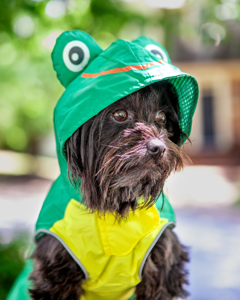 Frog Raincoat in Green Wear DOGO   