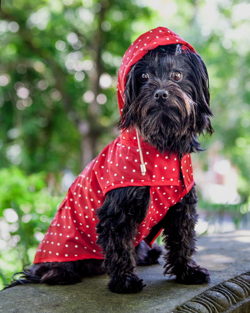 Polka Dot Anorak Dog Raincoat in Red << FINAL SALE >> Wear WARE OF THE DOG   