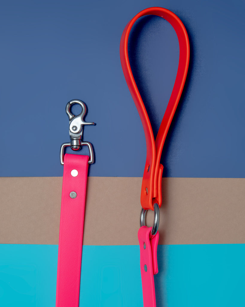 City Leash in Neon Pink & Neon Orange (4 or 6 Foot) (Made in the USA) WALK DOG & CO. COLLECTION   