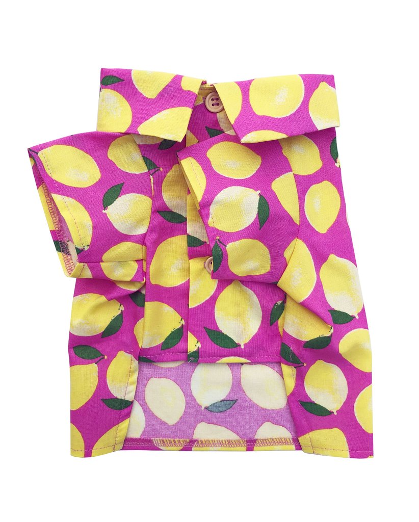 DOG THREADS | Lemons BBQ Shirt Apparel Dog Threads   