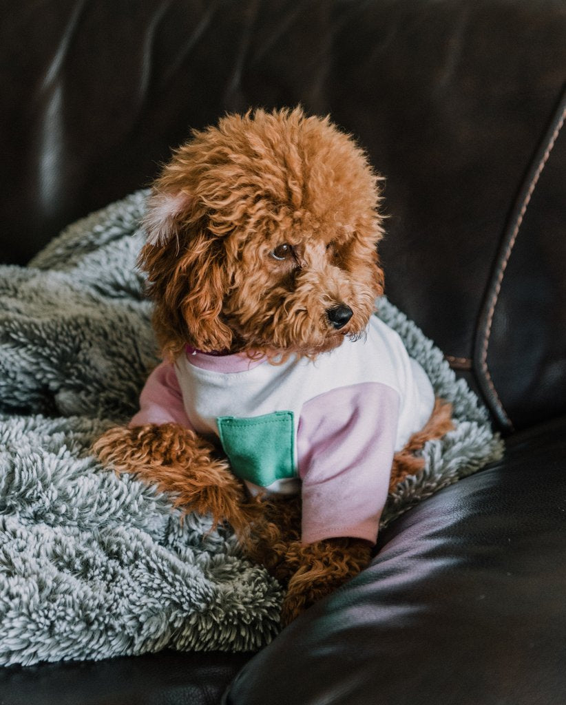 DOG THREADS | OMG Pocket Tee Apparel Dog Threads   