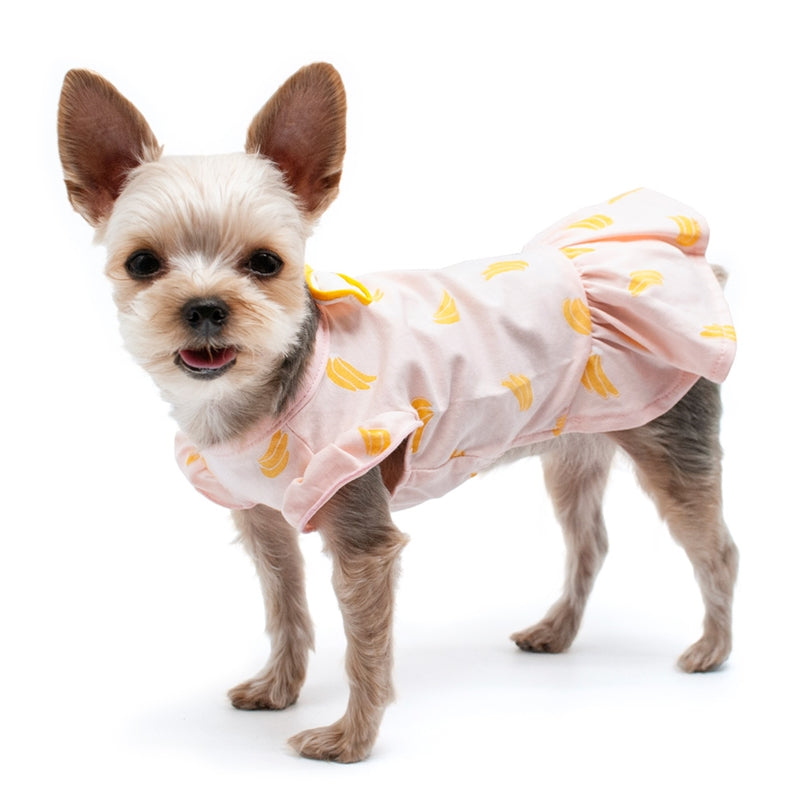 Bananas Lightweight Dog Dress (FINAL SALE) Wear DOGO   