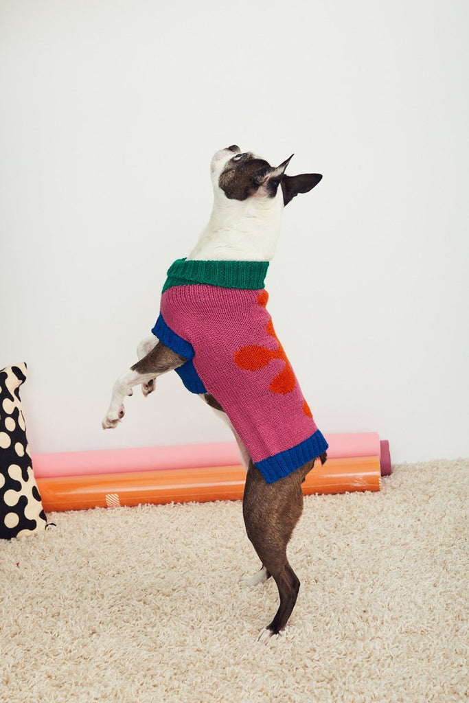 Flower Dog Sweater (FINAL SALE) Wear DUSEN DUSEN   