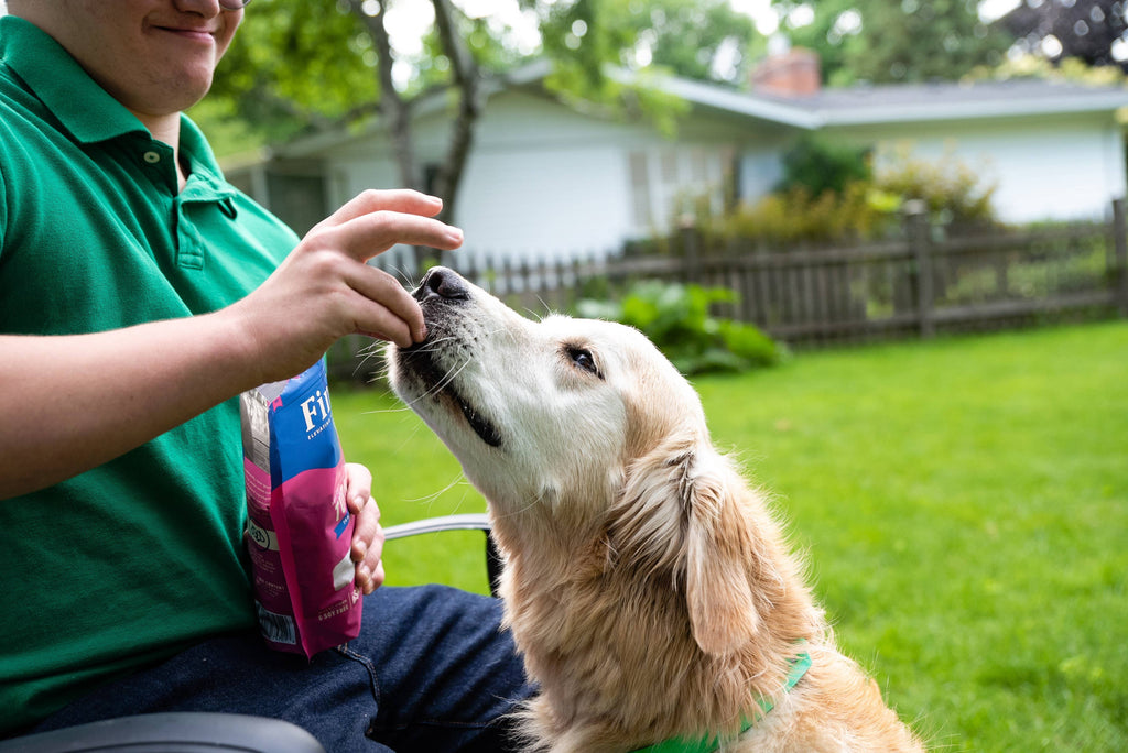 Turkey Recipe Soft Training Bites Dog Treats Eat FINLEY'S BARKERY   