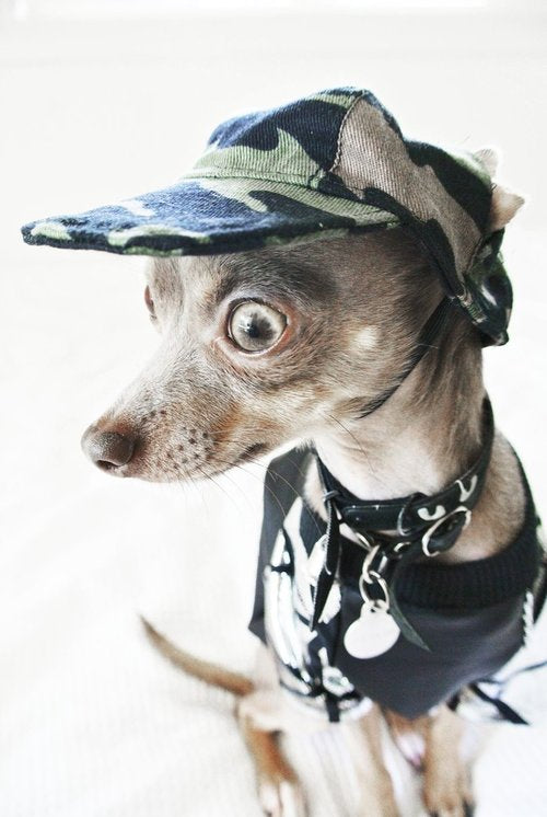 EYE OF DOG | Cool Cap in Camo Accessories EYE OF DOG   