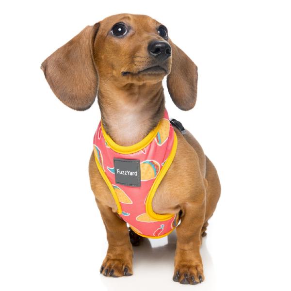 FUZZYARD | Taco Harness Harness FUZZYARD   