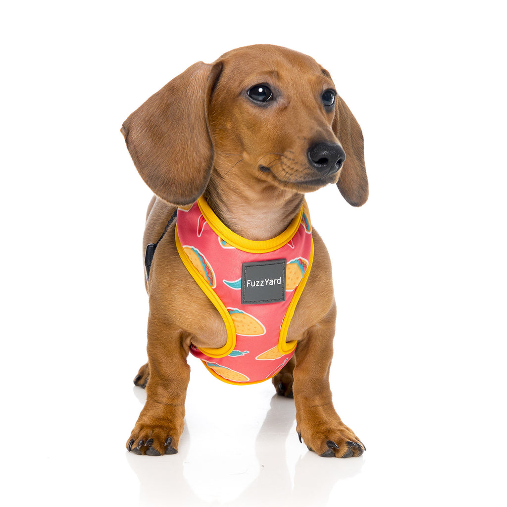 FUZZYARD | Taco Harness Harness FUZZYARD   