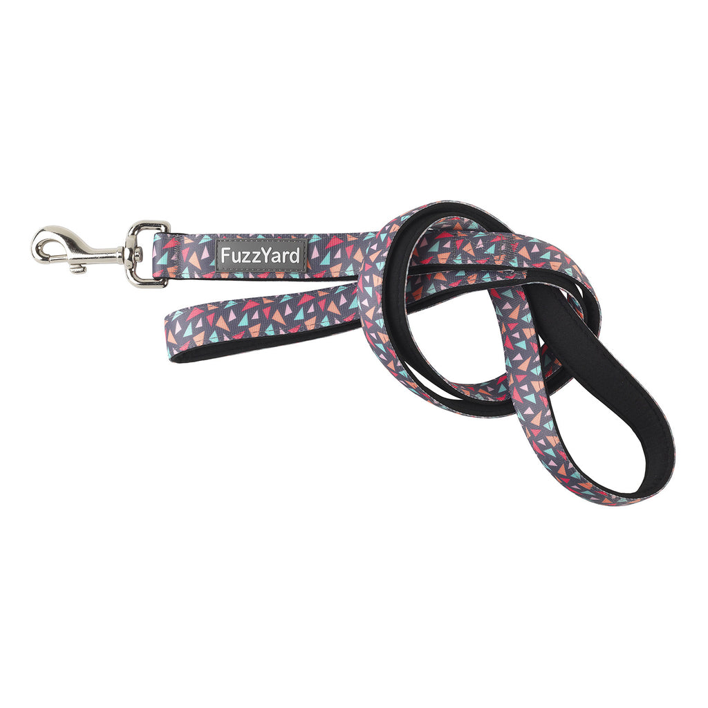 FUZZYARD | Rad Dog Lead Leash FUZZYARD   