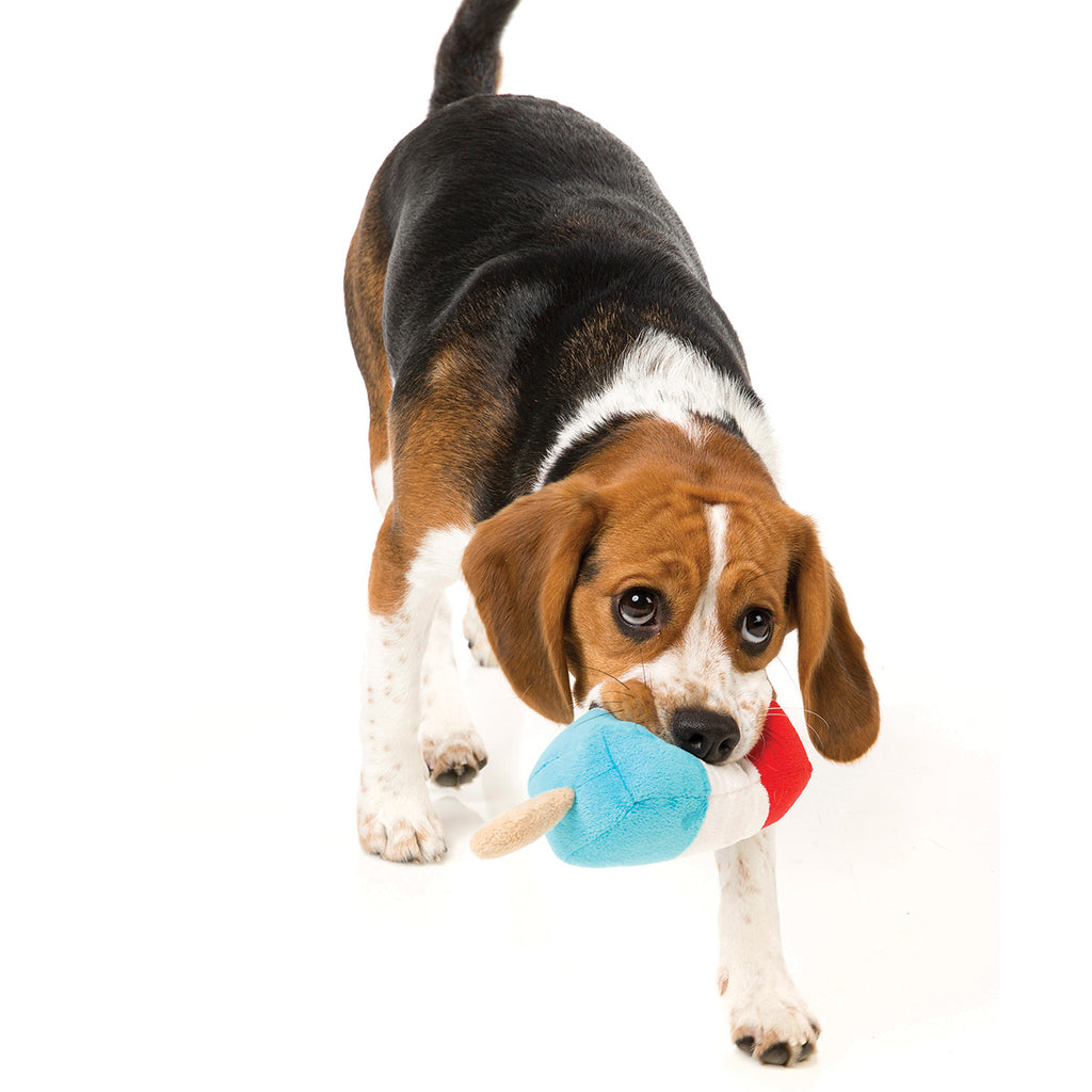 FUZZYARD | Popsicle Dog Toy Play FUZZYARD   