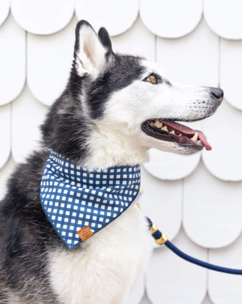 Navy Gingham Dog Bandana (Made in the USA) (FINAL SALE) Wear THE FOGGY DOG   